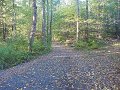 The walk out